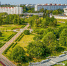 После зимовки на природные территории Москвы вернулись ласточки - Газета На Западе Москвы: Кунцево