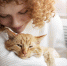 1xPet: на что обращать внимание при выборе корма для кошки? - 1xpetforcat.ru