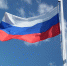 Библиотека № 207 провела праздничную программу ко Дню России - Район Фили-Давыдково
