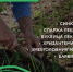 Жителям Гагаринского района рассказали, как разбить клумбу для гипертоников - Гагаринский район