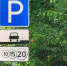 parkovki-rezidenti(9).jpg - Префектура САО Москвы