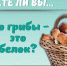 Знаете ли вы, что грибы это белок? - ГБУЗ ИКБ №2 ДЗМ