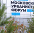 Москвичи могут сразиться в танцевальной кибербитве на Мосурбанфоруме в Гостином Дворе - Вечерняя Москва