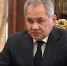 Шойгу заявил, что ожидает здравого смысла от нового главы Минобороны Украины - M24.Ru