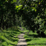Мероприятия пройдут и в Южном административном округе в экоцентре "Скворечник". Фото: Анна Быкова, "Вечерняя Москва" - Префектура ЮАО Москвы