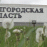 Белгородские власти сообщили об обстреле ВСУ четырёх муниципалитетов - Говорит Москва