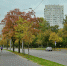 Одной строкой - Москва.Центр
