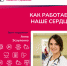 Как работает наше сердце - Городская клиническая больница им. В.П. Демихова