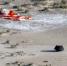 Космический курьер: как станция OSIRIS-REx доставила грунт с астероида на Землю - M24.Ru