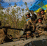В США назвали риски для Украины в случае замедления контрнаступления - M24.Ru