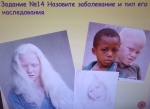 Неделя общепрофессиональных дисциплин