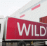 Сотрудники Wildberries украли товаров на 5 млн рублей со склада в Коледино - M24.Ru