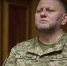 Советник президента Украины Лещенко опроверг сообщение об отставке Залужного - M24.Ru