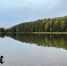 осень Россия река утки природа - Государственная Дума