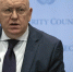 РФ опасается, что резолюция СБ ООН Мальты по Газе не будет исполняться – Небензя - M24.Ru