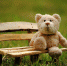 Дети расскажут о своих товарищах и одноклассниках, поделятся своими веселыми историями. Фото: pixabay.com - Префектура ЮАО Москвы