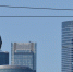 Стоимость проезда на Московской канатной дороге снизят на 50% в честь пятилетия - M24.Ru