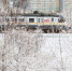 Пассажиры ЦППК теперь могут провозить зимний спортинвентарь бесплатно в любое время - Район Тропарёво-Никулино