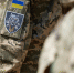 Украинский телеканал проговорился о числе погибших и пропавших солдат ВСУ - Вечерняя Москва