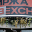 Центробанк начал свое расследование лже-банкротства СПб-биржи - M24.Ru