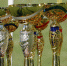 Два цифровых проекта столицы удостоили дипломами в рамках международного конкурса - Москва.Центр