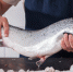 Запрет США на импорт российских морепродуктов ударит по их же рынку – ВАРПЭ - M24.Ru