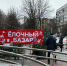 Новогодняя ель: как экологично утилизировать дерево после праздников - Московская газета
