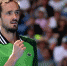 Теннисист Медведев вышел в полуфинал Australian Open - M24.Ru