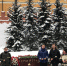 Возложение - Партия Яблоко