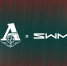 SWM Motors – официальный партнёр ФК «Локомотив» - ФК Локомотив