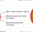 Диабетическая ретинопатия - ГБУЗ ГП №69 ДЗМ