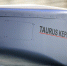 В ФРГ приостановили выпуск крылатых ракет Taurus – СМИ - M24.Ru