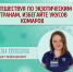 Едешь в тропики? Берегись комаров! - ГБУЗ ИКБ №2 ДЗМ
