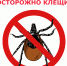 Инфекционисты предупреждают: клещи могут быть возбудителями и энцефалита, и боррелиоза одновременно - ИА Медиа Ток