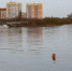 Вода в реке Тобол у Кургана опустилась ниже опасной отметки - M24.Ru