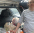 Волонтёры из Бабушкинского взяли шефство над семьями в трудной ситуации - Звездный бульвар
