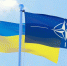 Нуланд заявила, что тренировочные центры НАТО на Украине станут целями для РФ - M24.Ru
