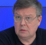 Политолог Алексей Мартынов: Предварительное голосование «Единой России» формирует будущий костяк политических лидеров страны - Единая Россия