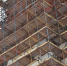 Усадьба «Останкино» засияет. Фото: Анна Быкова. «Вечерняя Москва» - Новые Округа