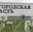 Гладков: въезд в 14 приграничных сел Белгородской области ограничат с 23 июля - M24.Ru