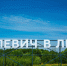 В Парке Малевича открылся новый маршрут "Малевич в лесу" - Molnet.Ru