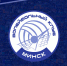Суперлига, 4 тур. Представляем соперника - "Минчанка" Минск Республика Беларусь. - ВК Динамо