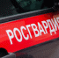 Около 19 тыс. выездов по сигналу «тревога» совершили столичные росгвардейцы в сентябре - Информационный Центр