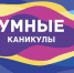 Умные каникулы: в ДИТИ строят планы на лето - НИЯУ МИФИ