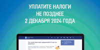 Уплатите налоги не позднее 2 декабря 2024 года - Городской округ Щербинка