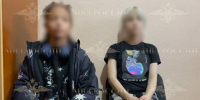 Похитительницы кота Лучика в Москве рассказали о судьбе животного - M24.Ru