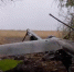 Более 80 военных ВСУ уничтожены в районе Ольговской рощи в Курской области - M24.Ru