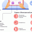 Какие цифровые сервисы на mos.ru ежедневно помогают московским мамам - Администрация района Замоскворечье