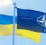 Парламентская ассамблея НАТО поддержала отправку Киеву ракет "Томагавк" - M24.Ru