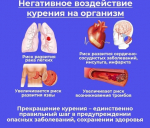 С 2 декабря по 8 декабря проходит Неделя профилактики потребления никотинсодержащей продукции